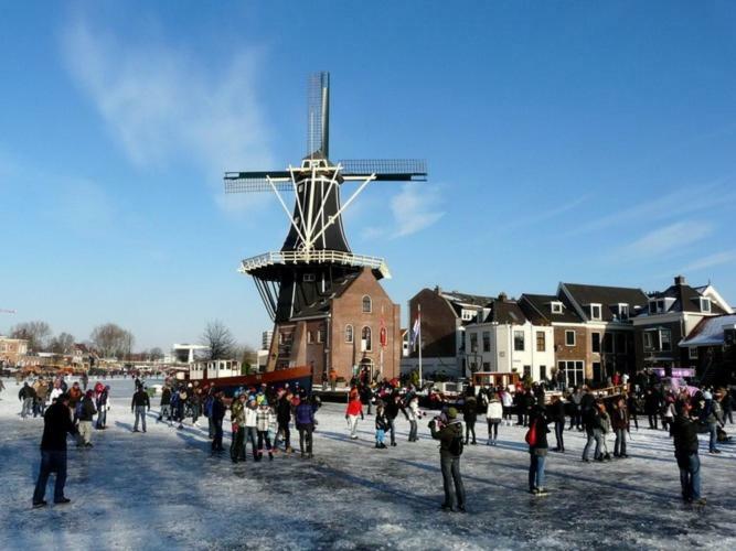 Feels Like Home Haarlem Zewnętrze zdjęcie